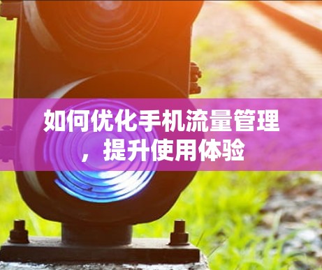 如何优化手机流量管理，提升使用体验