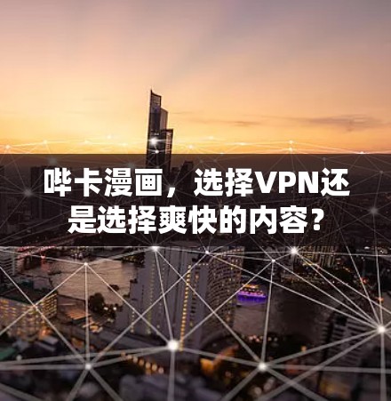 哔卡漫画，选择VPN还是选择爽快的内容？