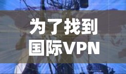 为了找到国际VPN服务器的地址,您可以按照以下步骤进行