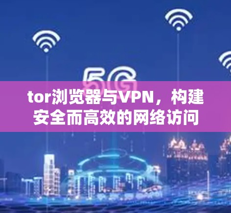 tor浏览器与VPN，构建安全而高效的网络访问