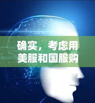 确实，考虑用美服和国服购买VPN可能会带来不同的体验。以下是基于您的思考整理的建议