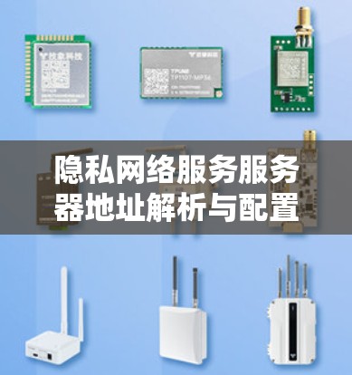 隐私网络服务服务器地址解析与配置指南