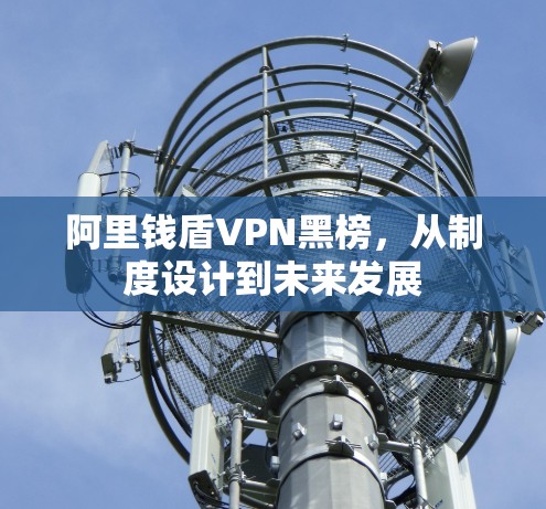 阿里钱盾VPN黑榜，从制度设计到未来发展