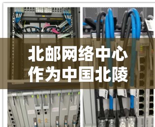 北邮网络中心作为中国北陵邮电大学的一个网络中心，提供了一种基于VPN的技术，旨在提供安全、可靠和高效的网络连接服务。以下是对北邮网络中心VPN服务的详细介绍