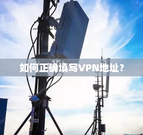 如何正确填写VPN地址？