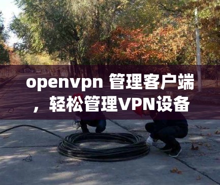 openvpn 管理客户端，轻松管理VPN设备的指南
