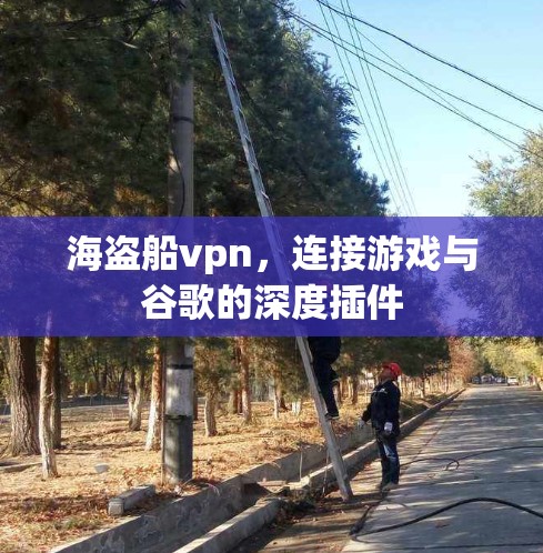 海盗船vpn,连接游戏与谷歌的深度插件