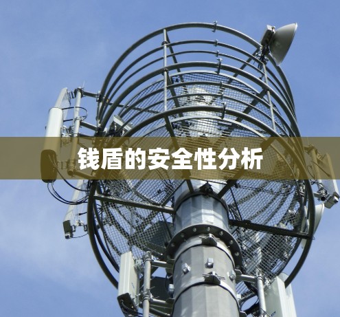 钱盾的安全性分析