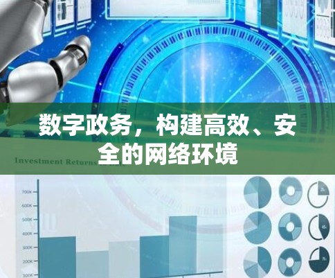 数字政务，构建高效、安全的网络环境