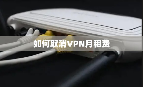 如何取消VPN月租费