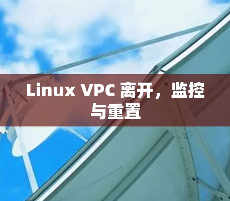 Linux VPC 离开,监控与重置 Linux VPC 离开,监控与重置