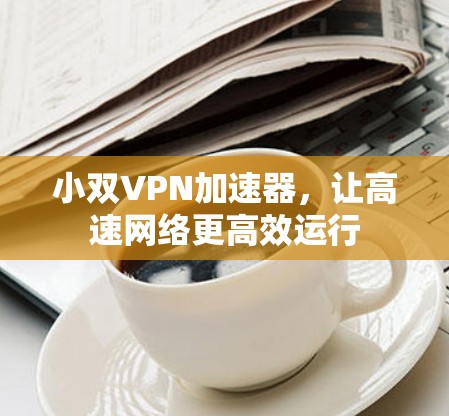 小双VPN加速器，让高速网络更高效运行