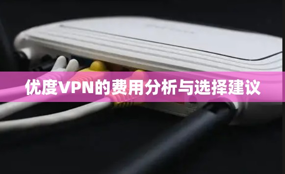优度VPN的费用分析与选择建议 优度VPN的费用分析与选择建议