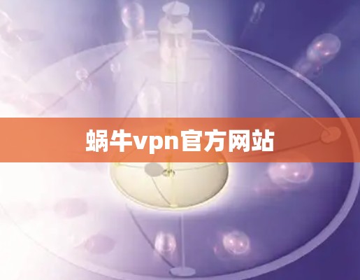 蜗牛vpn官方网站