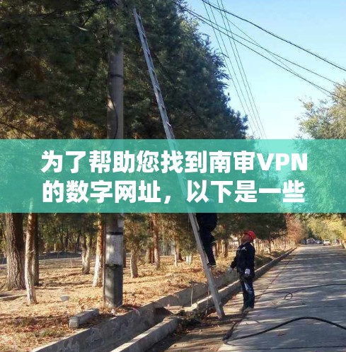 为了帮助您找到南审VPN的数字网址，以下是一些步骤和建议