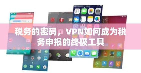税务的密码，VPN如何成为税务申报的终极工具