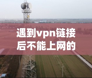 遇到vpn链接后不能上网的问题，通常是由于VPN链接不可用或者连接失败。以下是一些可能的解决方法