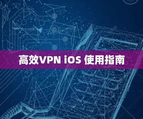 高效VPN iOS 使用指南