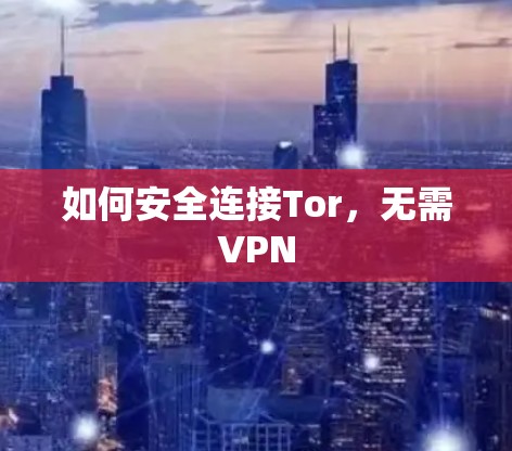 如何安全连接Tor，无需VPN