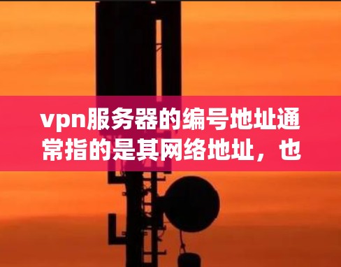 vpn服务器的编号地址通常指的是其网络地址，也称为IP地址。以下是关于如何找到和管理vpn服务器编号地址的步骤指南