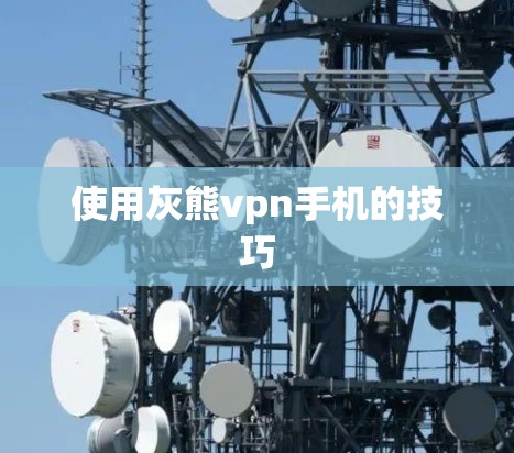 使用灰熊vpn手机的技巧
