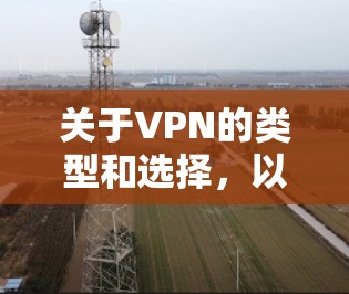 关于VPN的类型和选择，以下是一些常见知识和建议