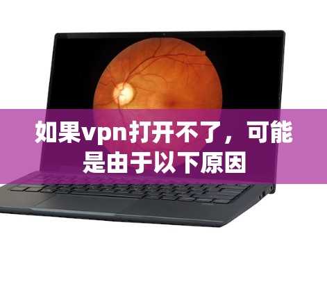 如果vpn打开不了，可能是由于以下原因