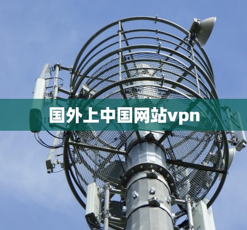 国外上中国网站vpn