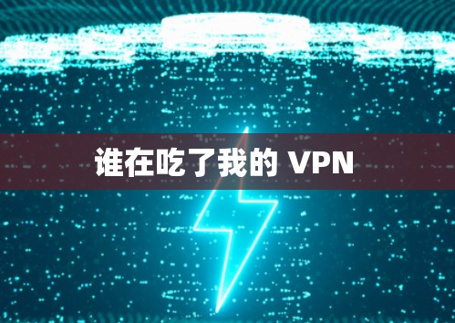 谁在吃了我的 VPN 