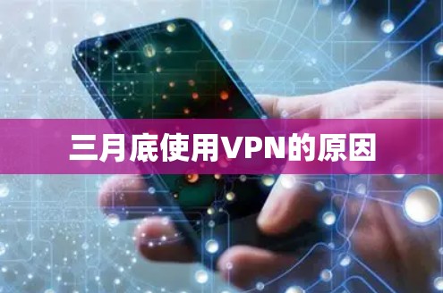 三月底使用VPN的原因 三月底使用VPN的原因