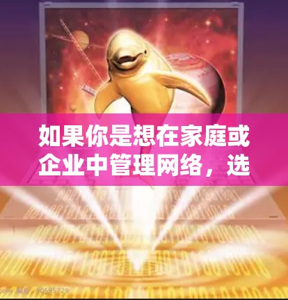 如果你是想在家庭或企业中管理网络，选择合适的防火墙软件对于确保网络的安全性和稳定性非常重要。网康的防火墙软件可能结合了防火墙配置、安全评估和监控功能，适合多种网络环境