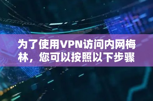 为了使用VPN访问内网梅林，您可以按照以下步骤进行