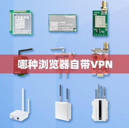哪种浏览器自带VPN