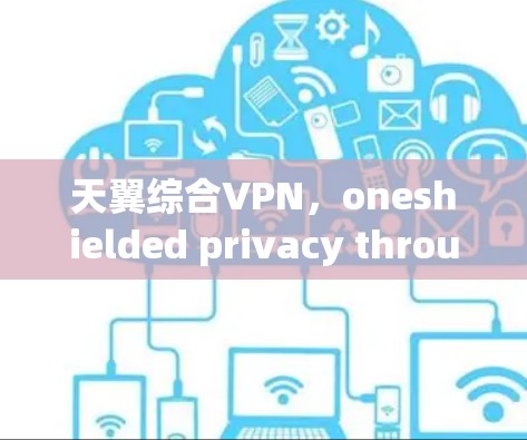 天翼综合VPN,oneshielded privacy through advanced encryption 天翼综合VPN,oneshielded privacy through advanced encryption