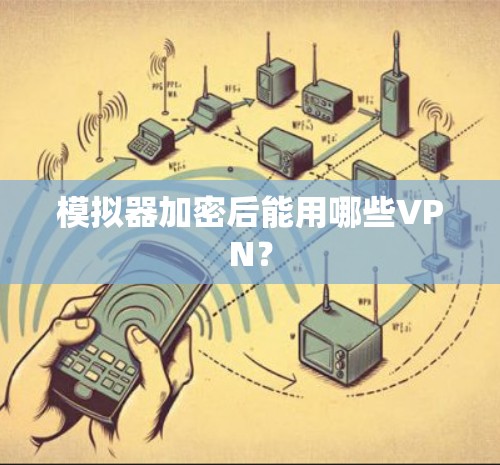 模拟器加密后能用哪些VPN? 模拟器加密后能用哪些VPN?