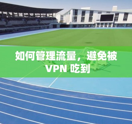 如何管理流量，避免被 VPN 吃到