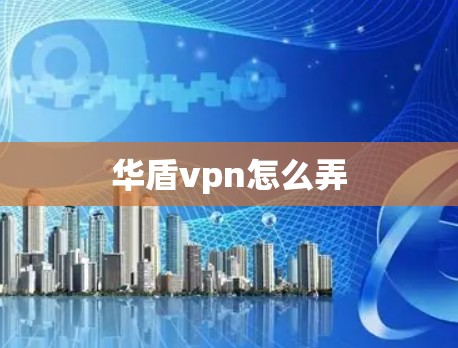 华盾vpn怎么弄