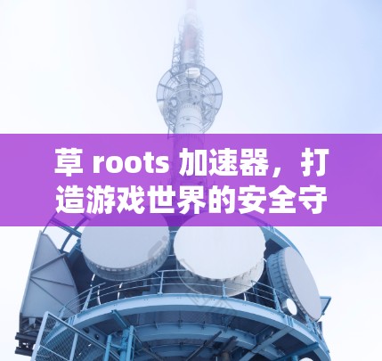 草 roots 加速器,打造游戏世界的安全守护者 草 roots 加速器,打造游戏世界的安全守护者
