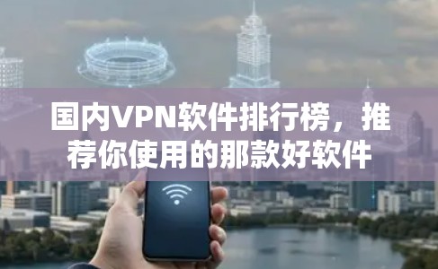 国内VPN软件排行榜,推荐你使用的那款好软件 国内VPN软件排行榜,推荐你使用的那款好软件