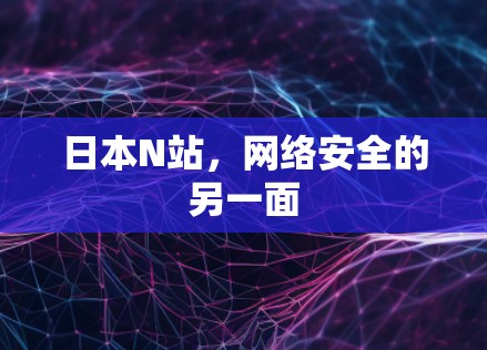 日本N站,网络安全的另一面