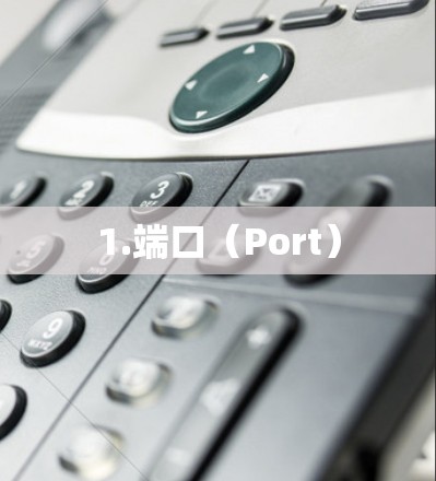 1.端口(Port)