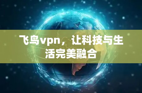飞鸟vpn,让科技与生活完美融合