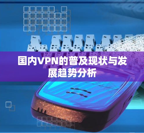 国内VPN的普及现状与发展趋势分析