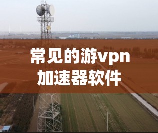 常见的游vpn加速器软件