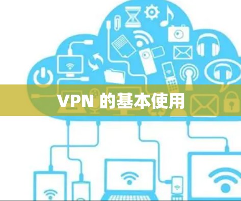 VPN 的基本使用
