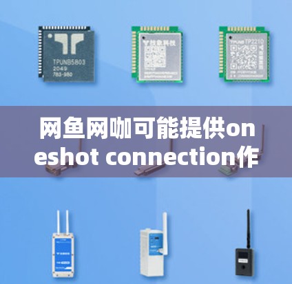 网鱼网咖可能提供oneshot connection作为VPN功能,但其具体覆盖范围和功能需要进一步确认。以下是基于上述思考的总结