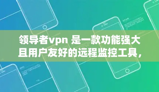 领导者vpn 是一款功能强大且用户友好的远程监控工具,适合需要实时监控设备和网络状态的用户。它提供实时监控、设备管理、安全检查和分析功能,适合个人用户、企业用户和教育机构等
