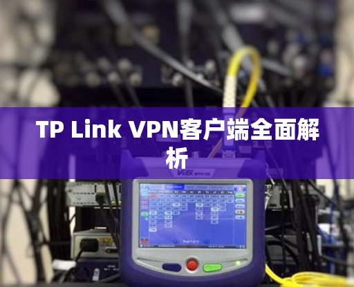 TP Link VPN客户端全面解析