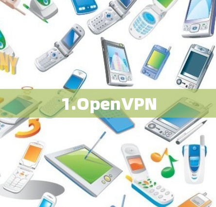 1.OpenVPN
