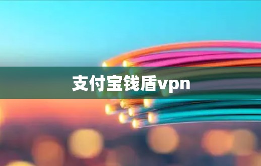 支付宝钱盾vpn